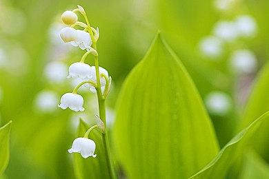 《最终幻想7：核心危机-重聚》升级超出开发组预期